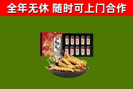 抚顺县回收冬虫夏草价格